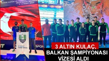 3 Altın Kulaç, Balkan Şampiyonası Vizesi Aldı