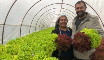 38 yaşındaki memur İstanbul'un kalabalığından kaçtı, Adana'da topraksız tarım yapıyor
