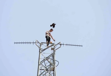50 metre yüksekteki intihar teşebbüsü yavalarını korumak isteyen kargaları da harekete geçirdi
