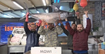77 kiloluk kılıç balığını sırtladığı görüntüler balıkçıyı fenomen haline getirdi
