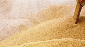 AB, 5 ülkenin Ukrayna'dan tahıl ithalatı kısıtlamasını uzattı