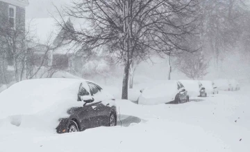 ABD ve Kanada kar esareti altında: 50 ölü
