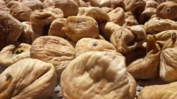 ABD’de kuru incir ihracatı son 1 yılda yüzde 42 arttı