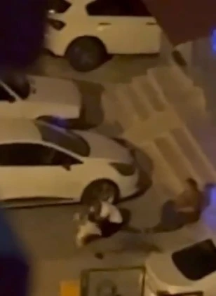 Adana’da evden kaçan pitbull dehşeti kamerada: Sahibini ve 2 kişiyi yaraladı
