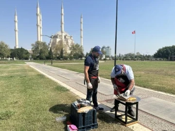 Adana'da hissedilen sıcaklık 50 dereceyi aştı: Güneşte tost pişti