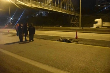 Adana’da otoyolda tırın çarptığı kadın öldü
