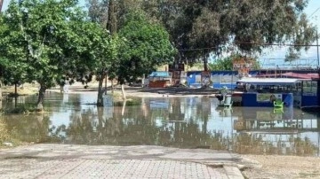 Adana'da kafeleri baraj suları bastı!