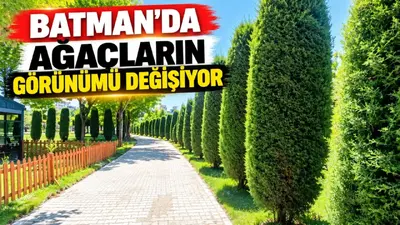 Batman’da kent ağaçları mevsim sonu bakımıyla şekilleniyor
