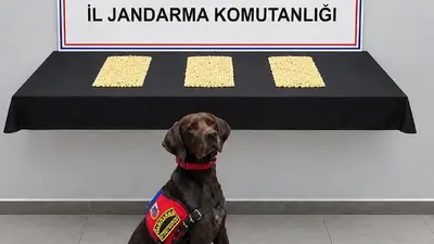Eyyübiye’de operasyon: 2 bin 970 Captagon hap bulundu