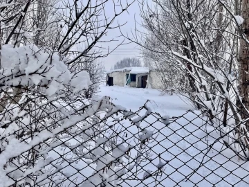 Ağrı’da 321 köy yolu kar nedeniyle ulaşıma kapandı
