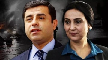 AİHM'den Selahattin Demirtaş ve Figen Yüksekdağ kararı: HDP'den ilk açıklama