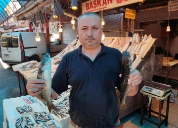 Akdeniz'de av yasağı kalktı, balık fiyatları yüzde 80 düştü