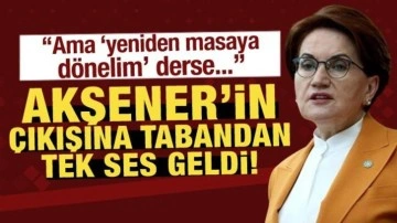 Akşener’in kararına destek yağıyor: Müstakil siyaset İYİ Parti'ye kimlik kazandırır