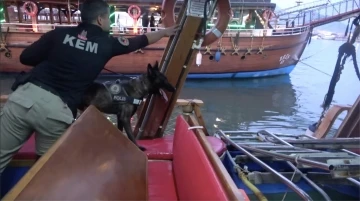 Alanya’da narkotik ekipleri yatlar ve gezi teknelerini denetledi
