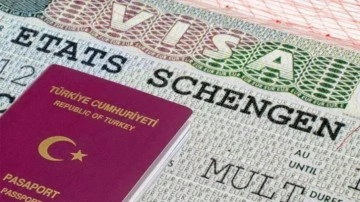 Almanya, Türkiye'de vize reddine itiraz sürecini askıya aldı
