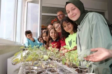 Amasyalı öğrenciler okulda ata tohumu ekip fide yetiştirdi

