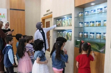 Anaokulu öğrencilerinden Balık Müzesine ziyaret
