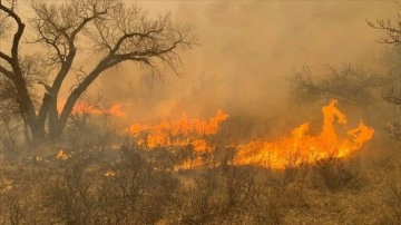 Ankara Meksika Ulusal Ormancılık Komisyonu'ndan Orman Yangınlarına İlişkin Son Durum