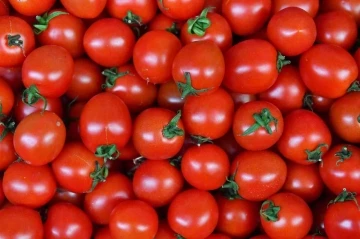 Ankaralılar 2023 yılında en çok domates ve karpuz tüketti
