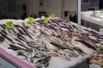 Antalya’da av sezonun açılmasıyla balıklar tezgahlardaki yerini aldı
