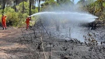 Antalya'da orman yangını, yarım saatte söndürüldü
