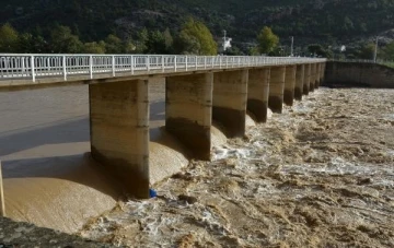Antalya'da şiddetli yağış ve fırtına; tekneler battı, ağaçlar devrildi (3)