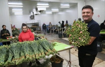 Antalya'dan Avrupa'ya 20 milyon dolarlık Noel çiçeği