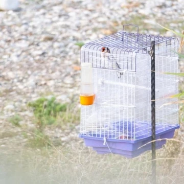Antalya'nın merkezinde kuş kaçakçısına suçüstü