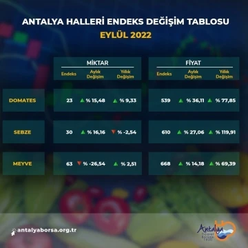 Antalya Ticaret Borsası eylül hal endeksini açıkladı
