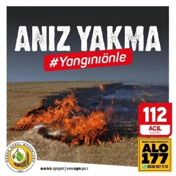 Antalya Valiliği'nden genelge; ormanlara 4 kilometre mesafede bile ateş yakmak yasak