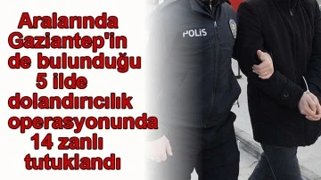 Aralarında Gaziantep'in de bulunduğu 5 ilde dolandırıcılık operasyonunda 14 zanlı tutuklandı