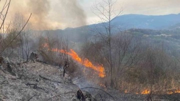 Artvin’in Hopa ilçesinde Orman Yangını Kontrol Altına Alındı