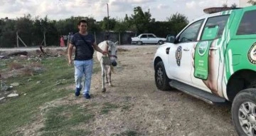 Atını darp eden adam gözaltına alındı