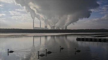 Avrupa'da Fosil Yakıtlarla Mücadele: Gaz Endüstrisinin Genişleme Planlarına Tepki