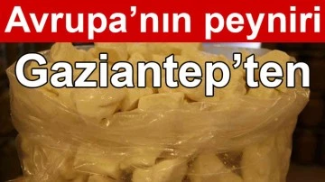 Avrupa’nın peyniri Gaziantep’ten