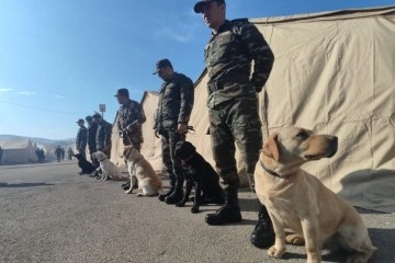 Azerbaycan'ın arama kurtarma köpekleri deprem bölgesinde