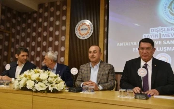 Bakan Çavuşoğlu: 'Erdoğan gitsin' diyenlerin pabucunu kaç seçimdir dama atıyoruz