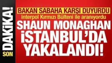 Bakan sabaha karşı duyurdu: İnterpol Kırmızı Bülteni ile aranıyordu, İstanbul'da yakalandı