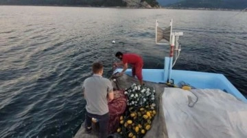 Balık avı için Karadeniz'e açılan tekneler, boş dönmüyor