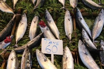 Bandırma’da olumsuz hava şartları balık fiyatlarını etkiledi
