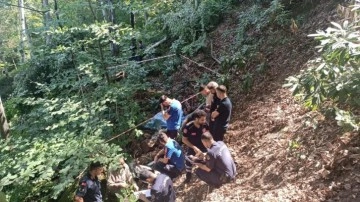 Bartın'da ormanda feci ölüm