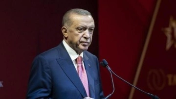 Başkan Erdoğan'ın sözleri dünya basınında: Yunanları terletiyor