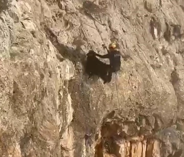 Batman’da 4 gündür kayalıklarda mahsur kalan keçiler AFAD ekiplerince kurtarıldı
