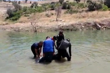 Batman'da piknik için gittikleri gölete giren 2 kadın boğuldu