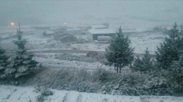 Bayburt, Erzurum ve Rize'nin yüksek kesimlerine kar yağdı