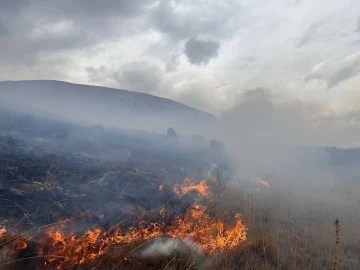 Bayburt’ta çıkan mera yangınında 80 hektar alan küle döndü
