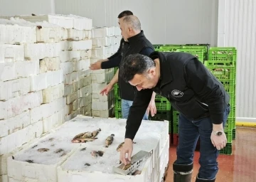Beyşehir’de balık işletme fabrikalarında boy limiti denetimi
