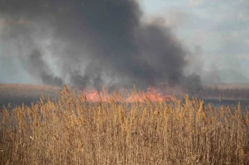 Beyşehir Gölü sazlıklarında çıkan yangın balıkçıları korkuttu
