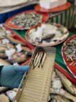 Beyşehir İlçesinde Balık Satış Yerleri Denetlendi