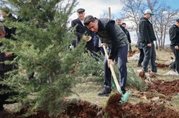 Bilecik Valisi Şefik Aygöl, Dereşemsettin Köyünde Ağaç Dikim Törenine Katıldı
